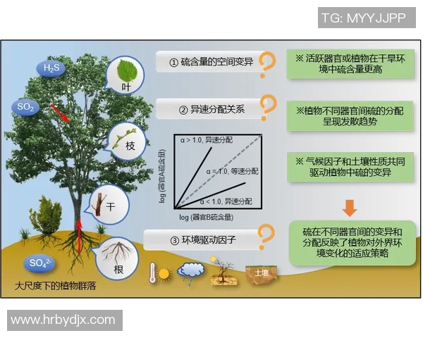 杭州网球队意识表现分析：数据揭示团队协作与个人能力的关系