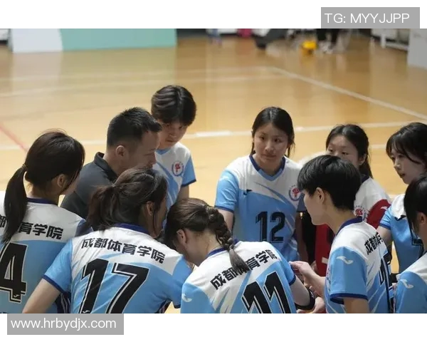 成都排球队荣登全国排球比赛经验排行榜第二名的背后故事与启示