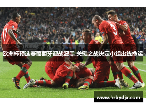 欧洲杯预选赛葡萄牙迎战波黑 关键之战决定小组出线命运