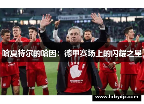 哈夏特尔的哈因：德甲赛场上的闪耀之星