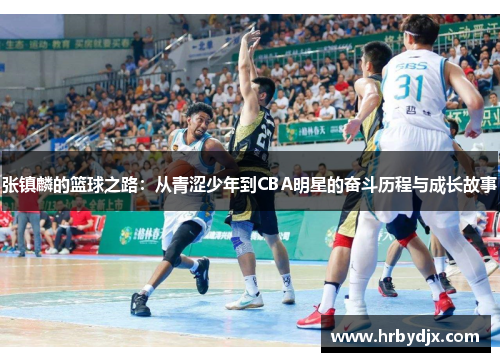 张镇麟的篮球之路：从青涩少年到CBA明星的奋斗历程与成长故事