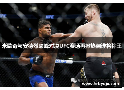米欧奇与安德烈巅峰对决UFC赛场再掀热潮谁将称王